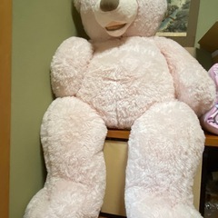 コストコ くま🐻の画像