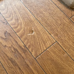無料！National電気カーペットフローリング調
の画像