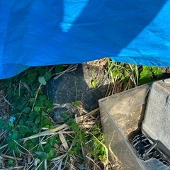 庭石（サイズは極大〜小）本日は14時までお取引可能　　 庭石」　の画像