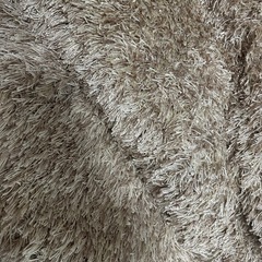 アルモニア　ラグマットの画像