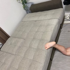 ニトリ　ソファーベッドの画像