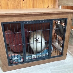 犬用屋根付きハウスの画像