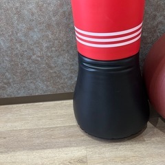 バランスボールとパンチバッグ
の画像