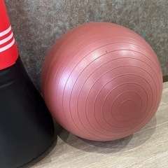 バランスボールとパンチバッグ
の画像