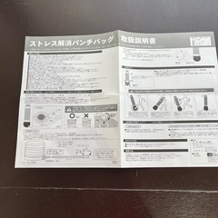 バランスボールとパンチバッグ
の画像
