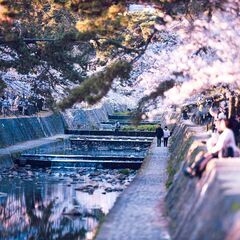 ニコン AF-S NIKKOR 300mm f/2.8G ED VR II（美品・防湿庫保管）の画像