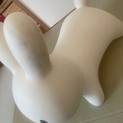 ブルーナボンボン大の画像