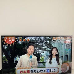 【YouTube☆Netflix等視聴可能】49インチ✨LGの画像