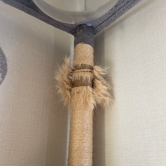 キャットタワーの画像