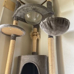 キャットタワーの画像