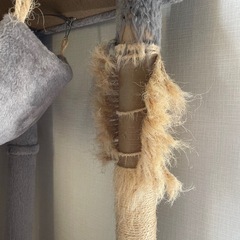 キャットタワーの画像