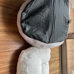 猫ドームの画像
