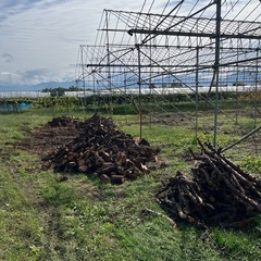 ②無料！積み直しました！薪お探しの方ご自由にどうぞ！無くなり次第終了です11月迄！ の画像