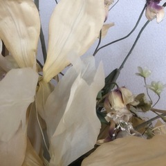 造花の画像