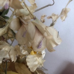 造花の画像