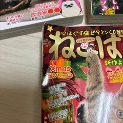 ねこぱんち6冊セットの画像