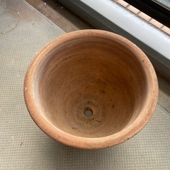 鉢の画像