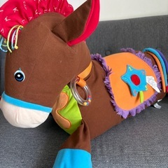 トニーザポニー　K's kidsの画像