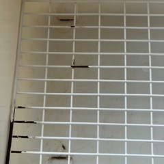ペット用トイレ　　うさぎの画像