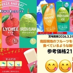 凍らせて食べるアイス 南国フルーツアイス