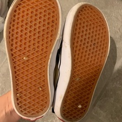 バンズスリッポンキッズの画像