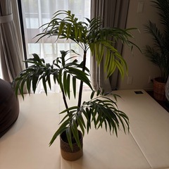 観葉植物フェイクグリーンいんてりあインテリアの画像