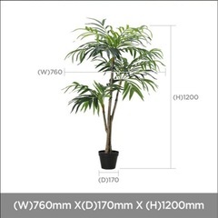 観葉植物フェイクグリーンいんてりあインテリアの画像