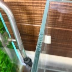 ADA60センチ水槽+水槽台
の画像