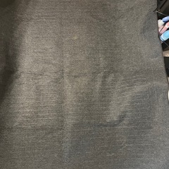 電気カーペットの画像