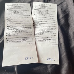 ナガシマスパーランド 2枚セット チケットの画像