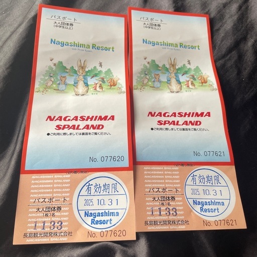 ナガシマスパーランド 2枚セット チケット