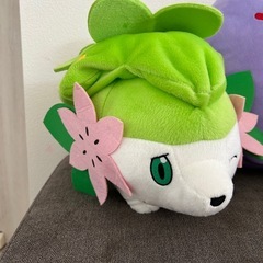 ポケモンぬいぐるみ
の画像