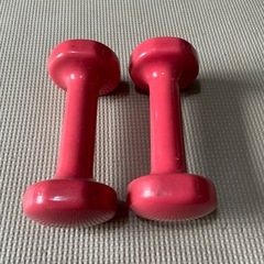 ダンベル　1kgの画像