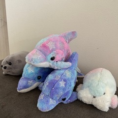 イルカとアザラシのぬいぐるみの画像