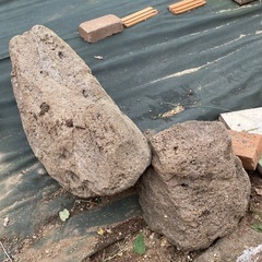 大きな石 軽石 複数の画像