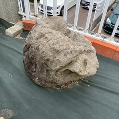 大きな石 軽石 複数の画像
