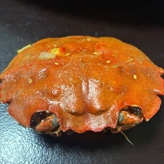 モクズガニの画像