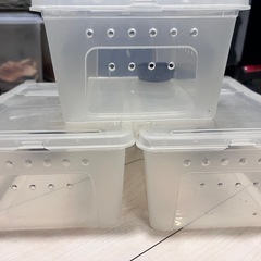 マルチケース　小型爬虫類や両生類・昆虫飼育にの画像