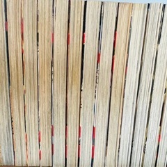 哲也「雀聖と呼ばれた男」1〜42巻　¥500/10冊からの画像