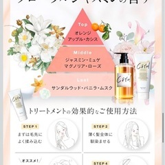 【新品】CFYH サロン専売 オールインワンシャンプー＆トリートメントセット 髪質補修の画像