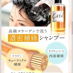 【新品】CFYH サロン専売 オールインワンシャンプー＆トリートメントセット 髪質補修の画像
