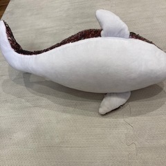 ぬいぐるみ（いるか）の画像