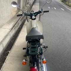 リトルカブ
の画像