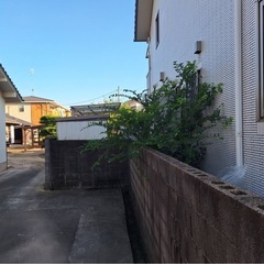 草刈り・木の伐採など
