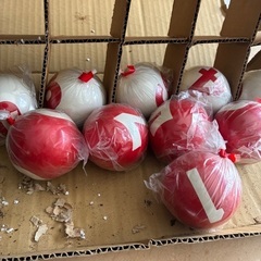 ゲートボール玉の画像