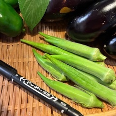 9/23朝どれ無農薬野菜セットの画像