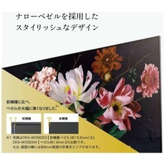 DMM DKS-4K55DG4　55インチ ディスプレイの画像