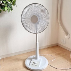 コイズミ リビング扇風機 首振り 2023年製の画像