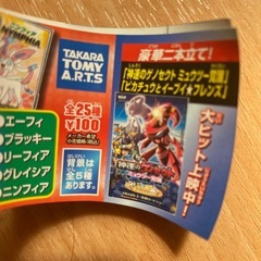 ポケモンキーホルダー
の画像