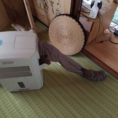 コロナ　冷風機の画像